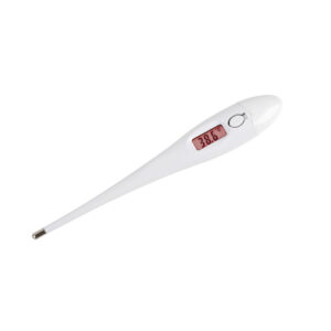 Digital Thermometer