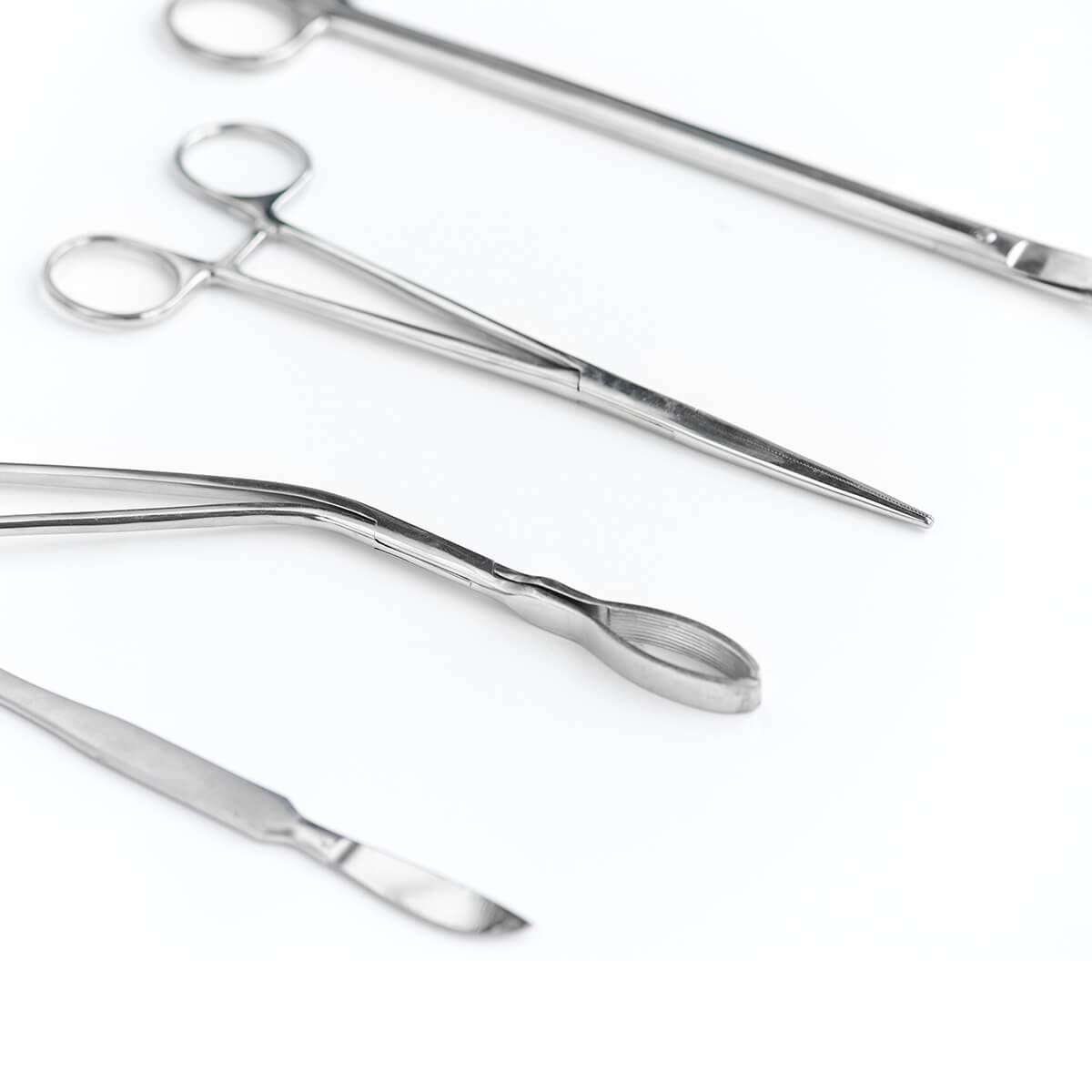 Stainless Steel Scissors - Image 4